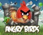Злые Птицы Rovio это видео-игры. Angry птиц атаки свиней, которые крадут яйца